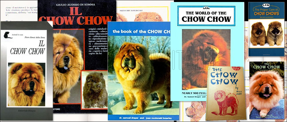 Bibliografia Chow Chow