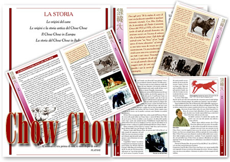 Chow Chow di Isabella Milani e Siro Baruffladi - 2008